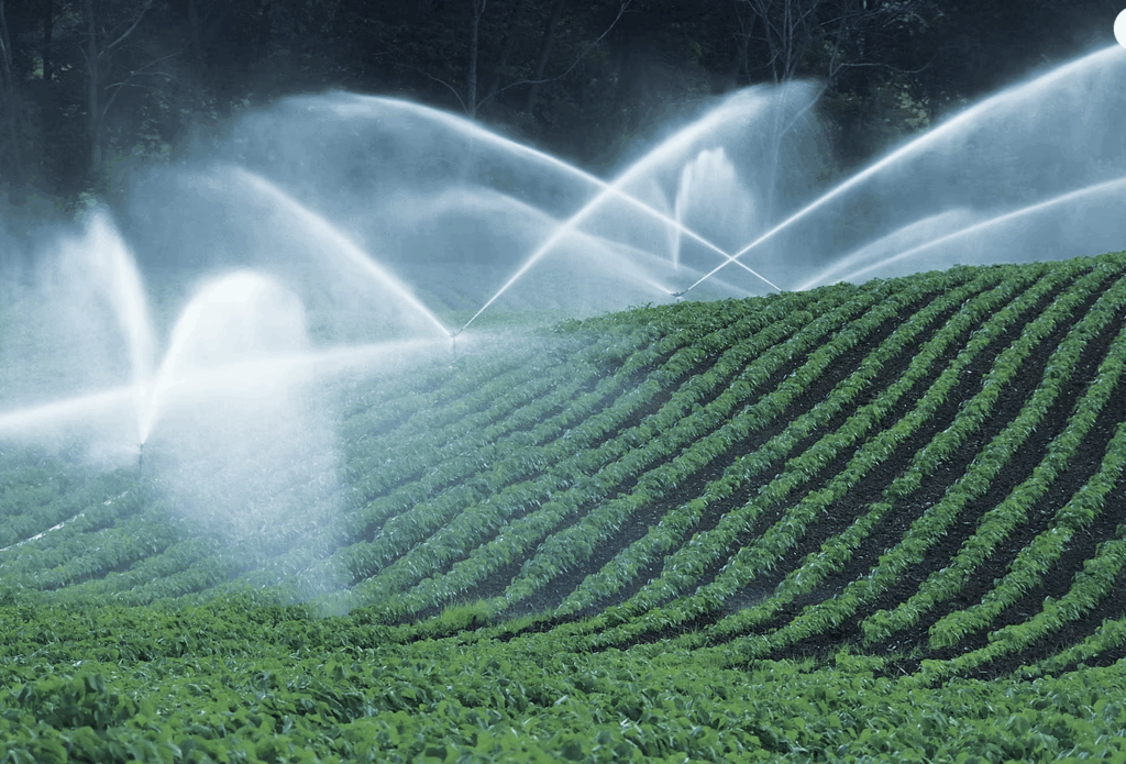 FRESH COAST CLIMATE SOLUTIONS WATER STEWARDSHIP